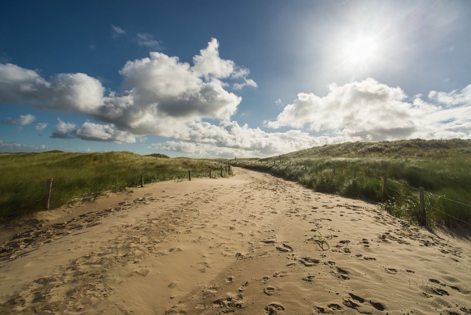 Nikon D600 sample photo. Dune, dunes, sand dune photography