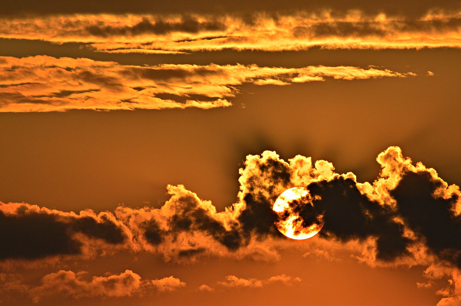 Nikon D3200 sample photo. Sunset, nightfall, red photography