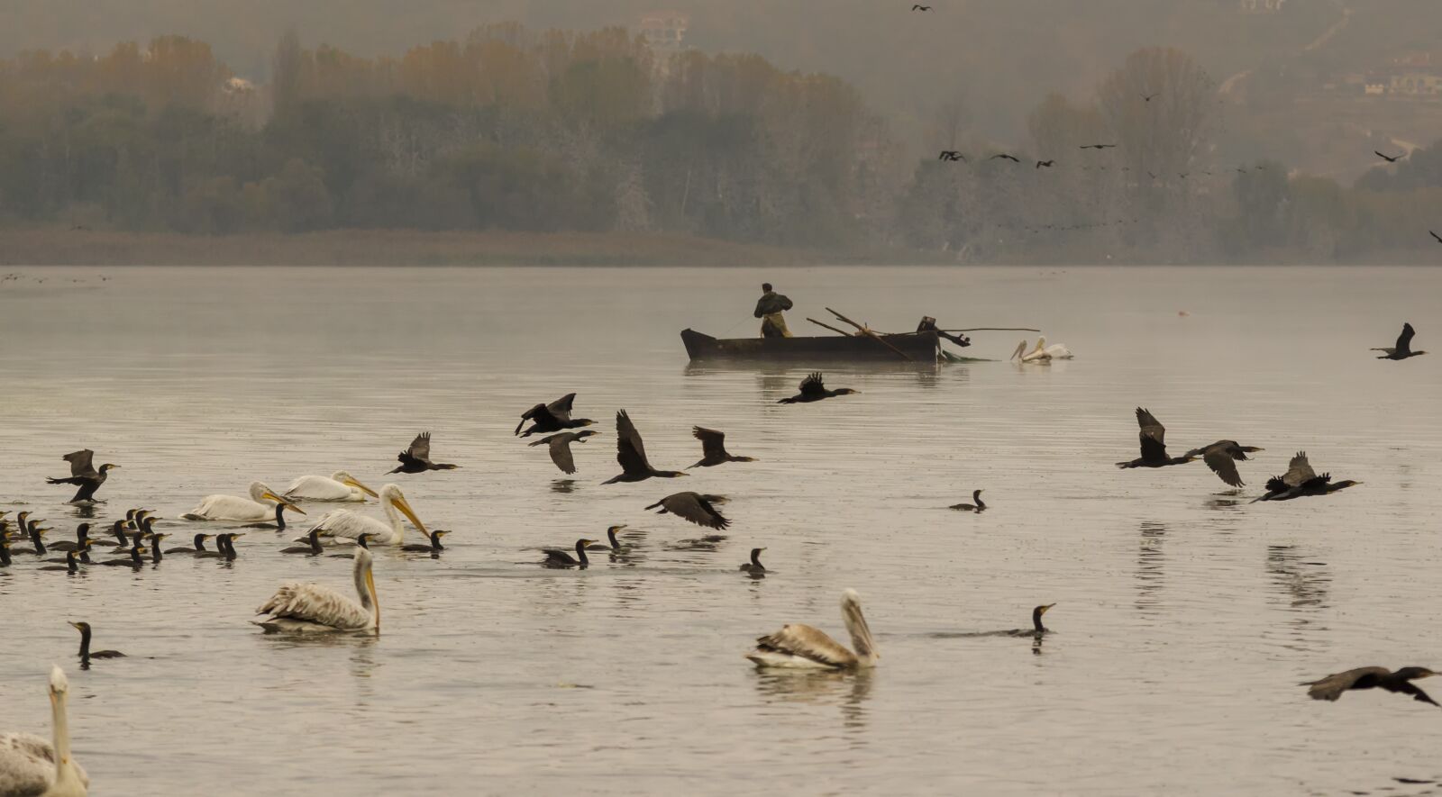Nikon D7000 sample photo. Fisher, boat, fisherman photography
