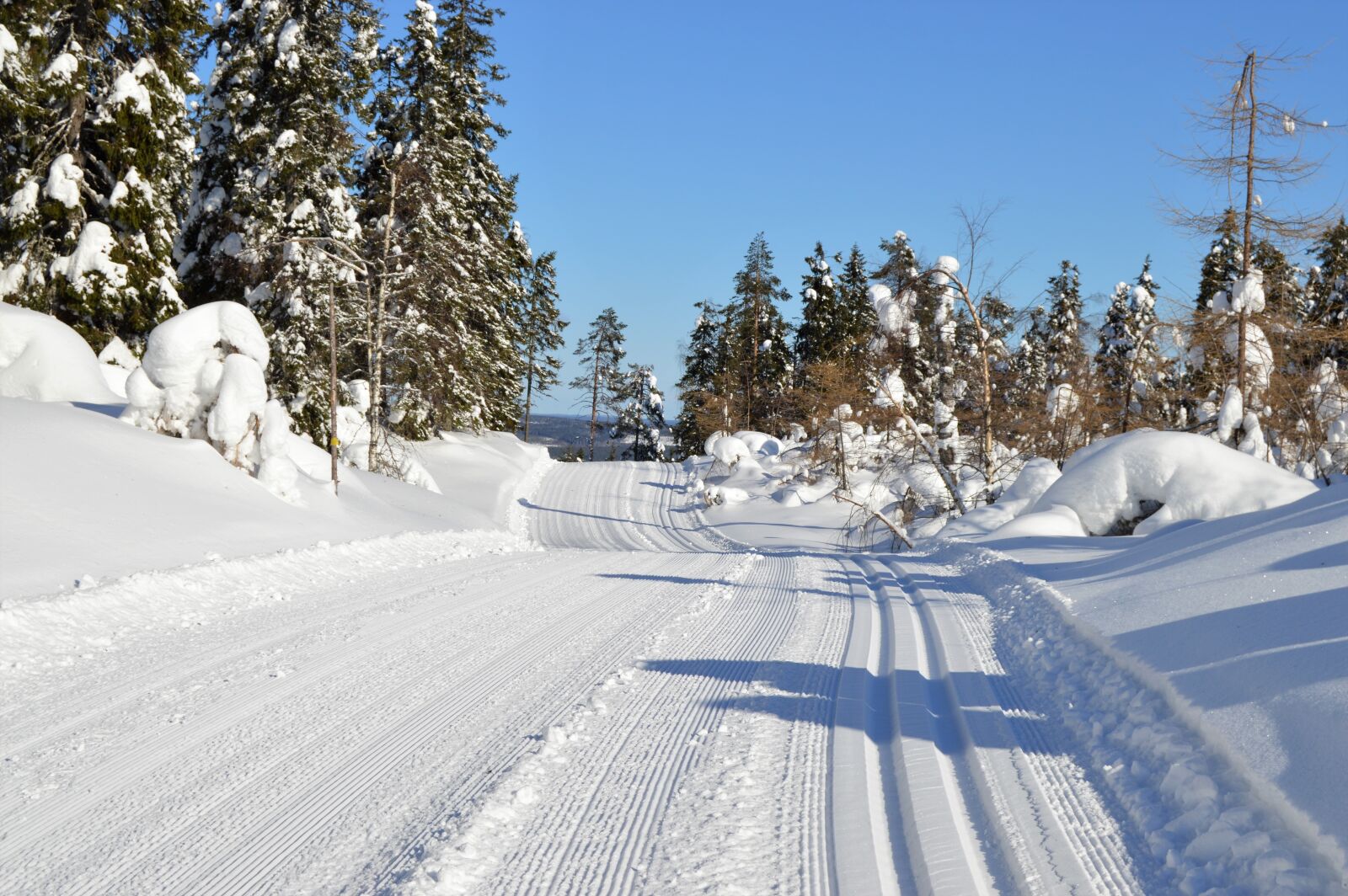 Nikon D3200 sample photo. Snow, winter, track photography