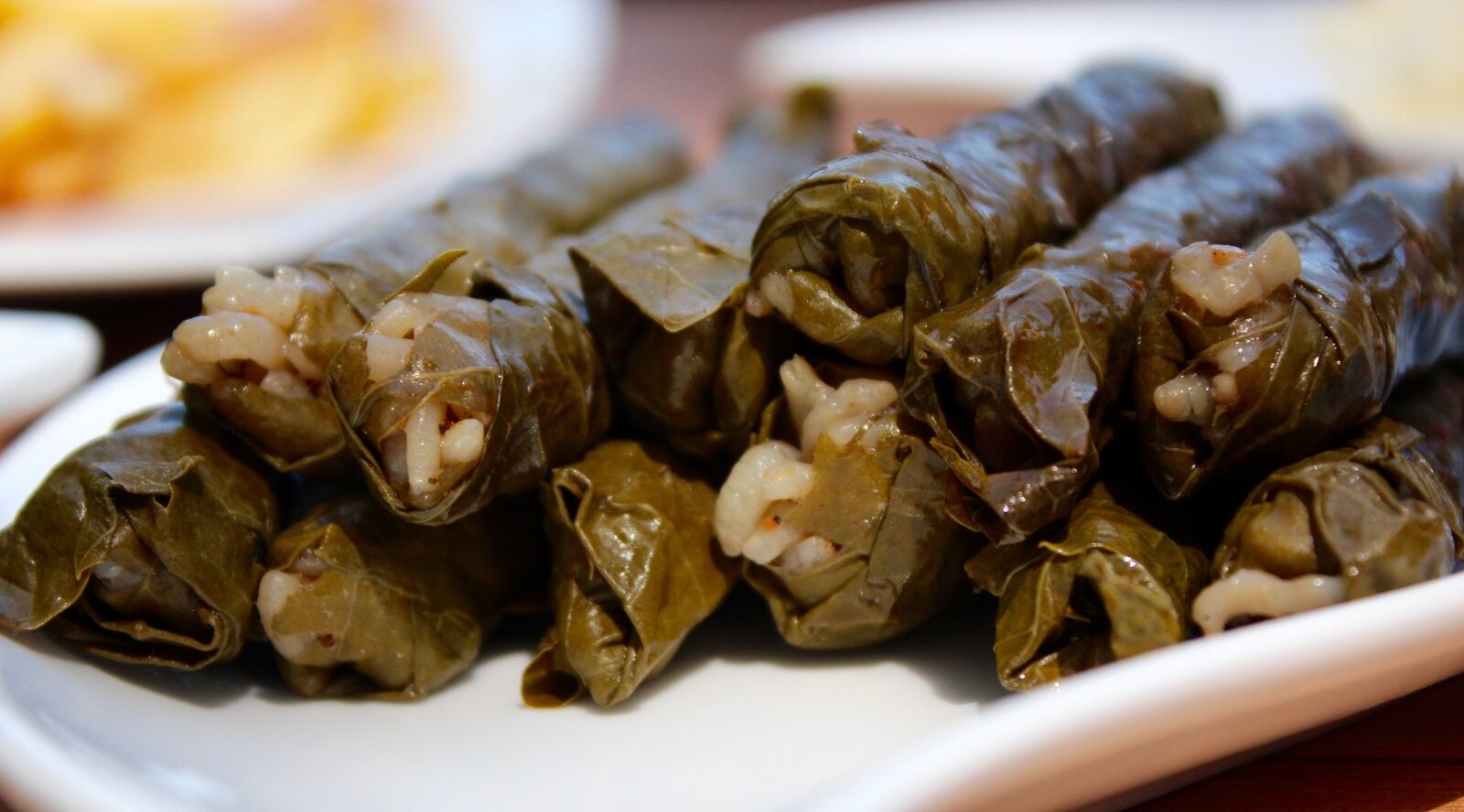 Canon EOS 600D (Rebel EOS T3i / EOS Kiss X5) sample photo. Sarma, turkish food, rice photography
