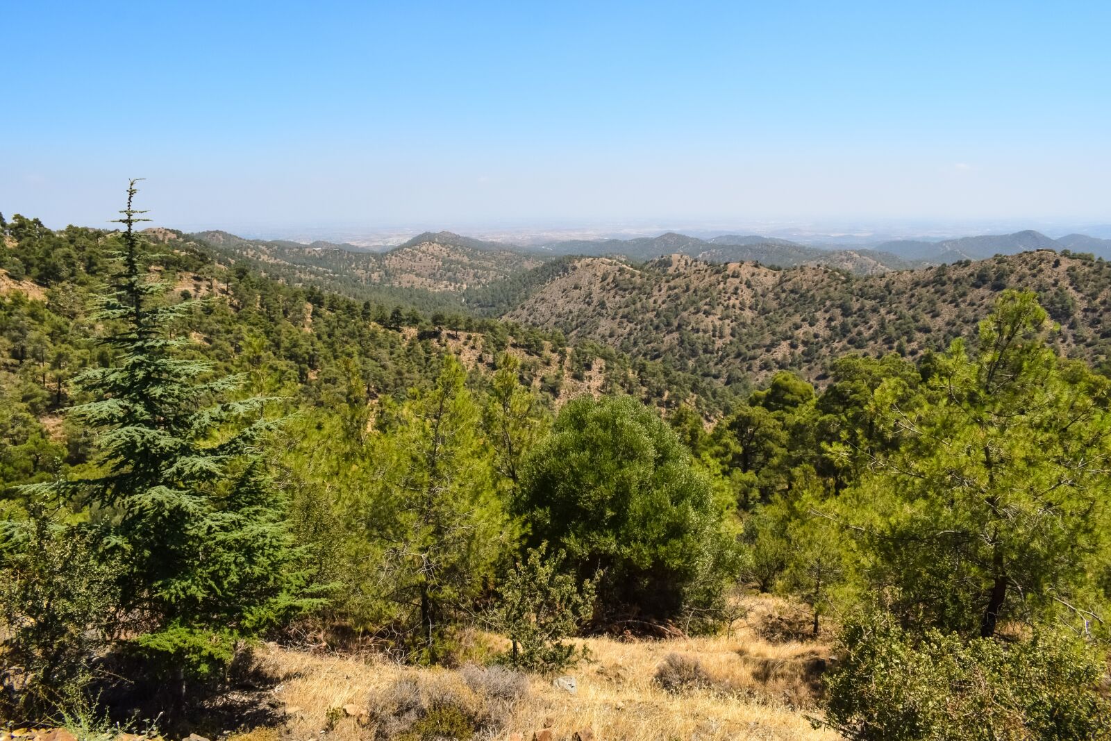 Nikon D3300 sample photo. Mountains, landscape, forest photography