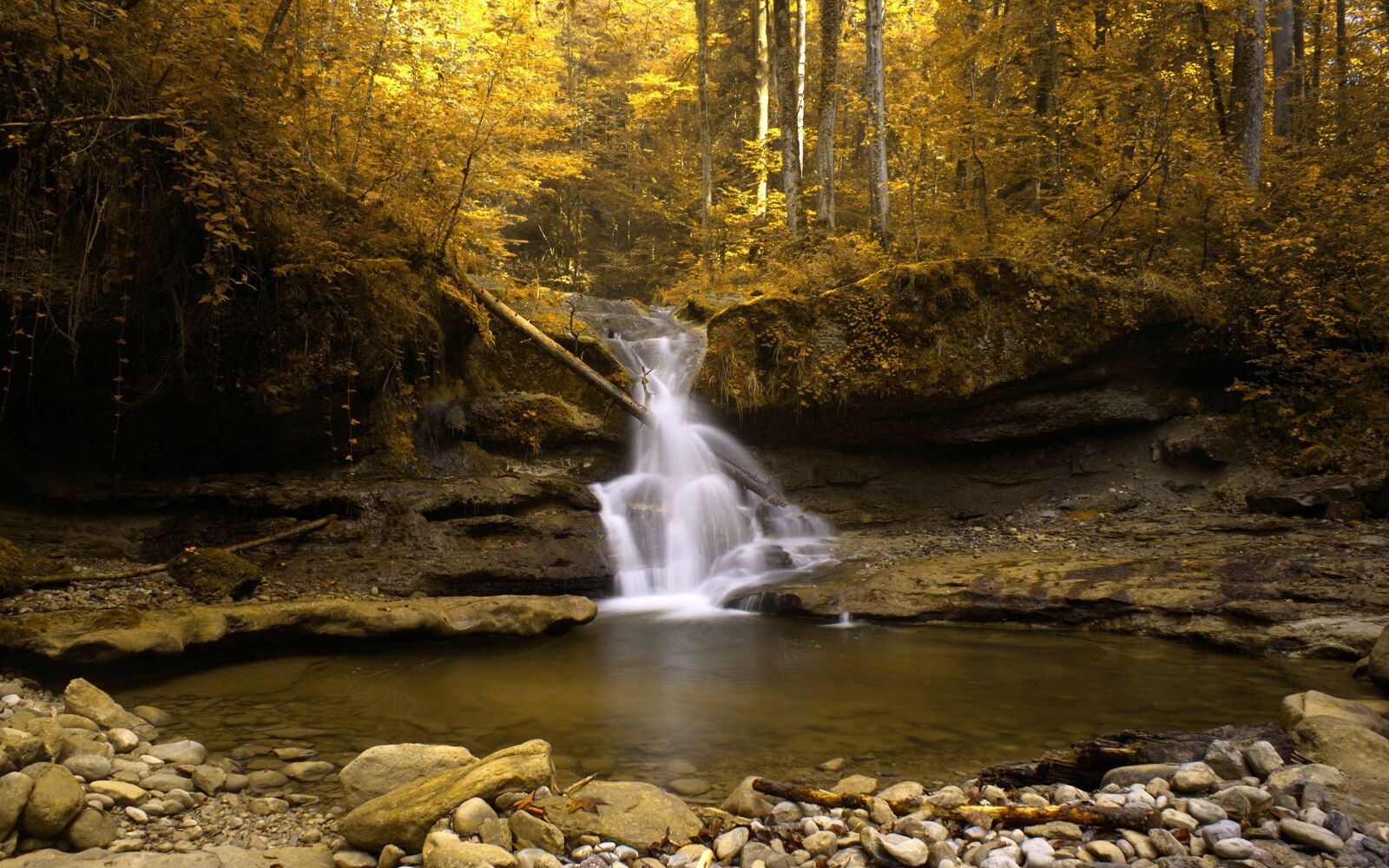 Sony Alpha DSLR-A100 sample photo. Forest, nature, small waterfall photography