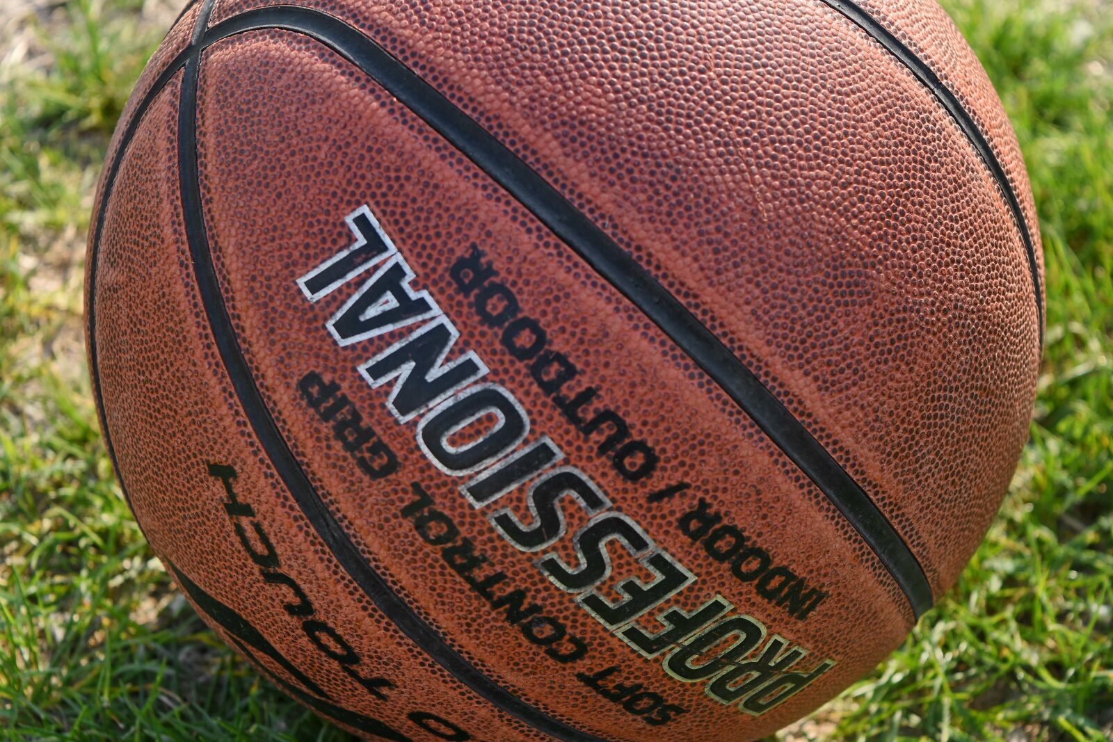 Nikon D5500 sample photo. Ball, leather, exercise, basketball photography
