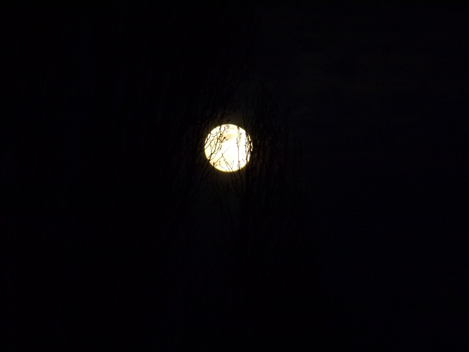 Panasonic Lumix DMC-ZS10 (Lumix DMC-TZ20 / Lumix DMC-TZ22) sample photo. Full moon, night sky photography