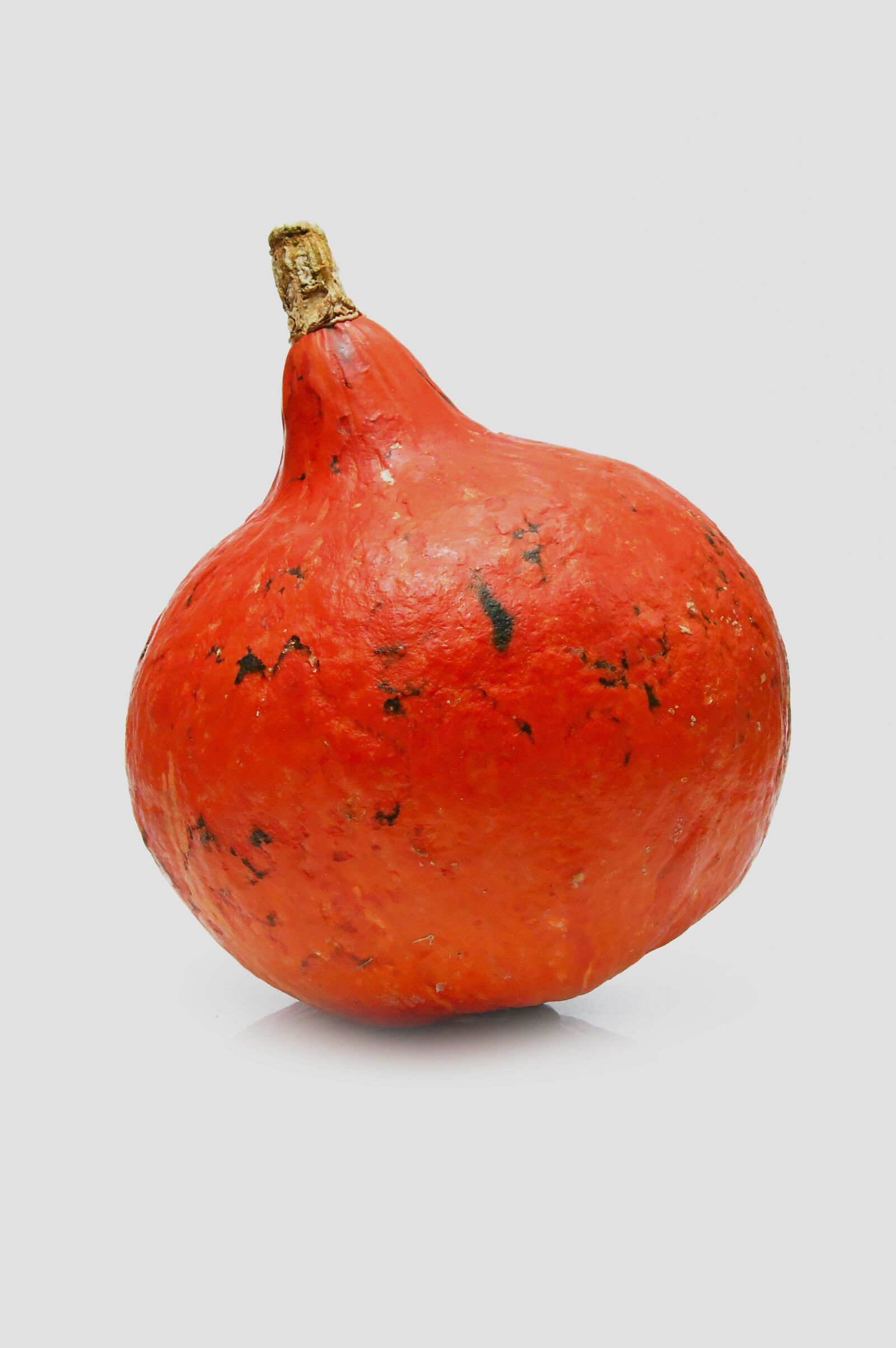 Nikon D3200 sample photo. Decorative pumpkins, color, autumn photography