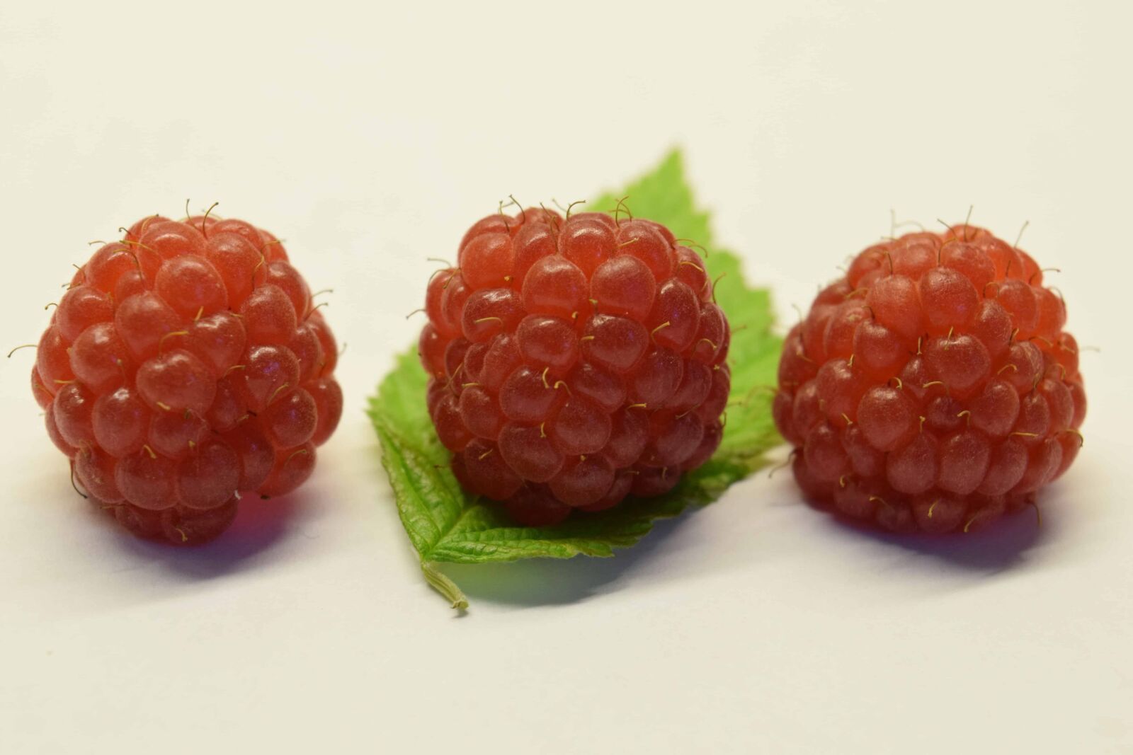 Nikon D3300 sample photo. Nutrition, sweet, food, berry photography