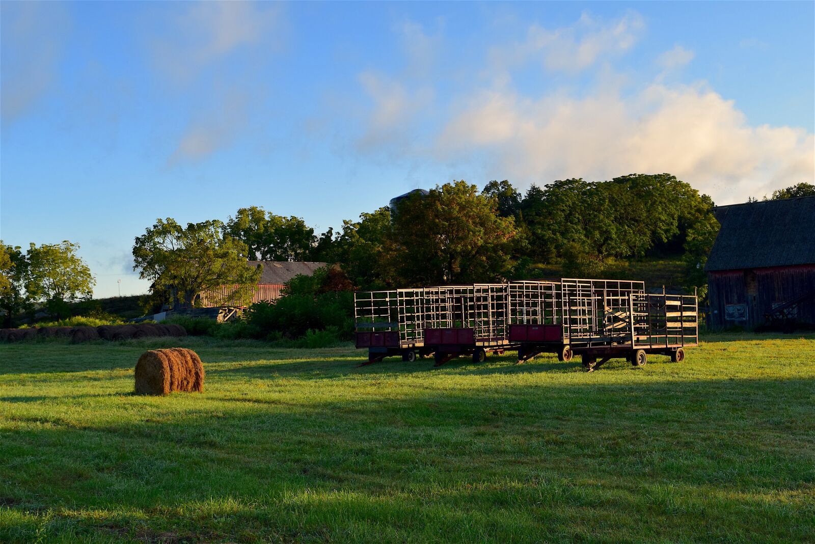 Nikon D3300 sample photo. Farmland, sunrise, grass photography