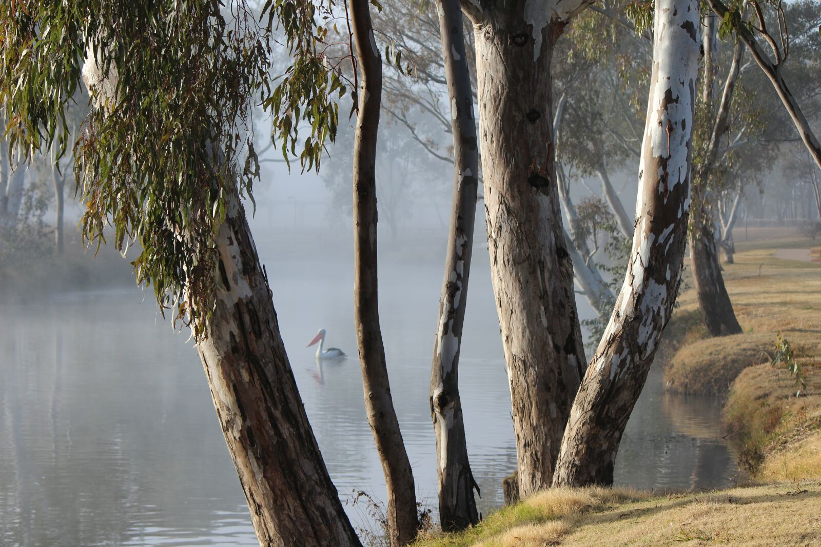 Canon EOS 600D (Rebel EOS T3i / EOS Kiss X5) sample photo. Serene, water, tranquillity photography