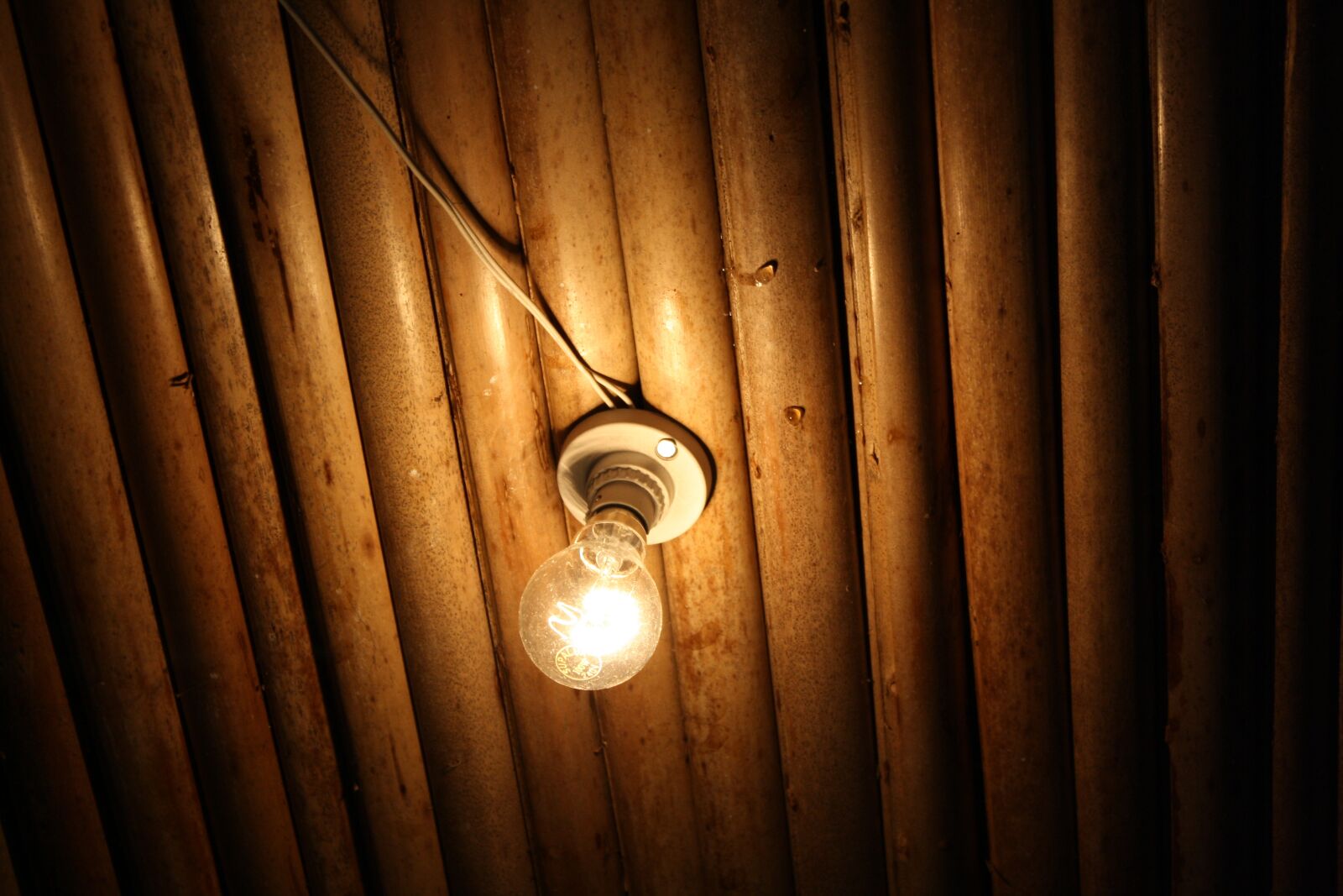 Canon EOS 1000D (EOS Digital Rebel XS / EOS Kiss F) sample photo. Light bulb, globe, electric photography
