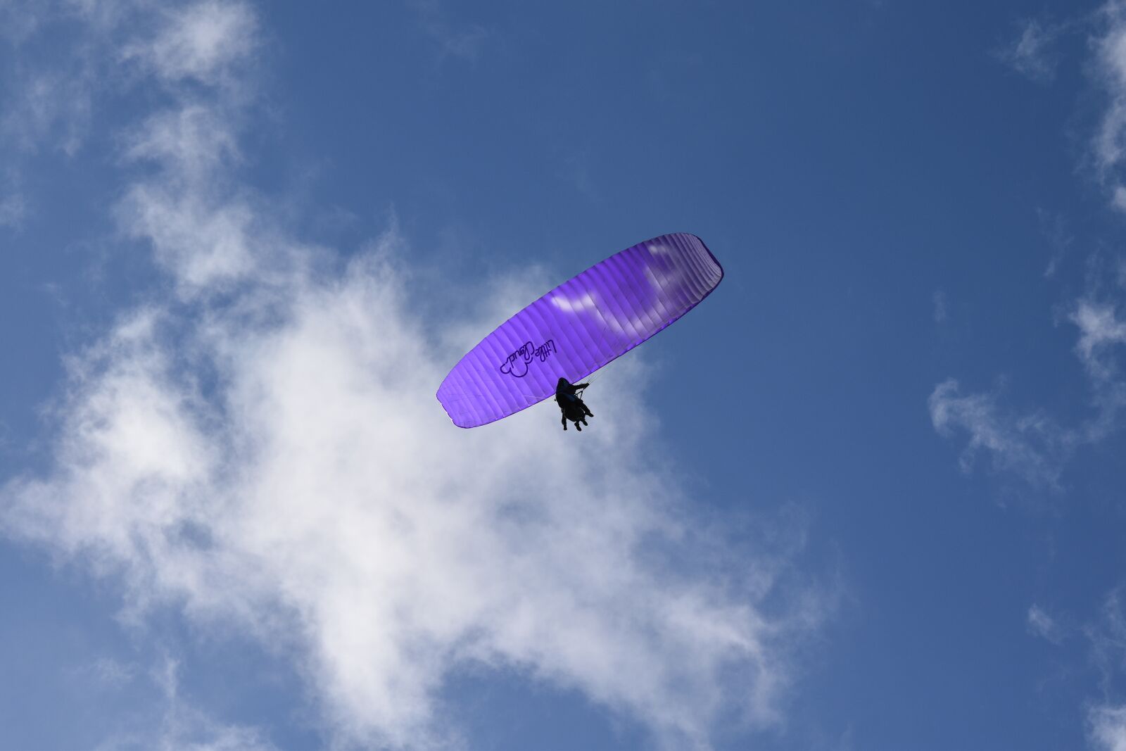 Nikon D5600 sample photo. Paragliding-paraglider, aircraft, veil purple photography