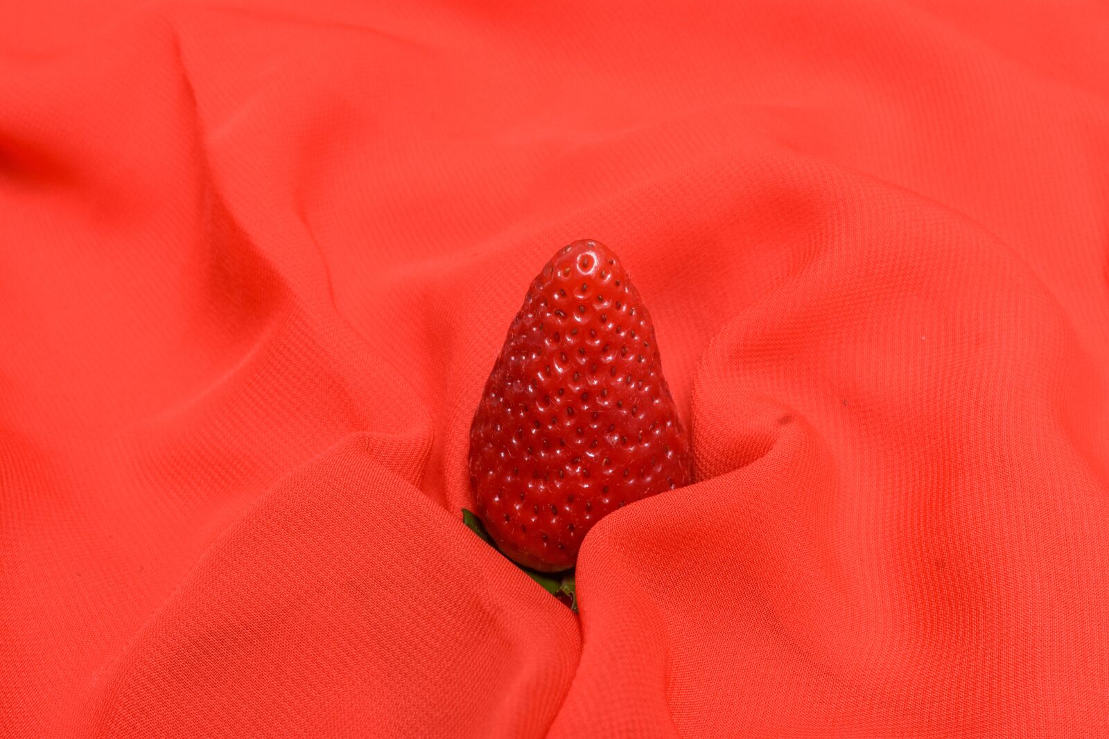 Nikon D3400 sample photo. Strawberry, fruit, fresh photography