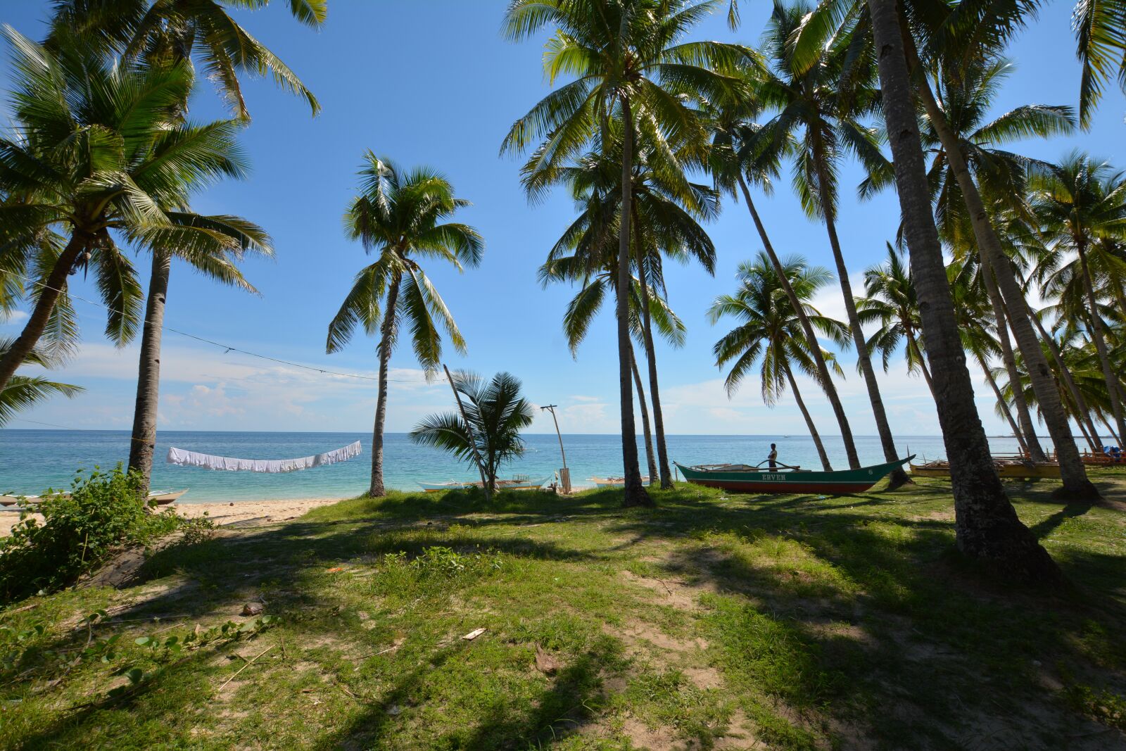 Nikon D7100 sample photo. Sea, palm trees, beach photography