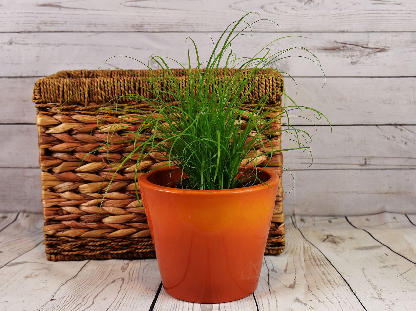 Nikon D7200 sample photo. Grass, water hyacinth, basket photography
