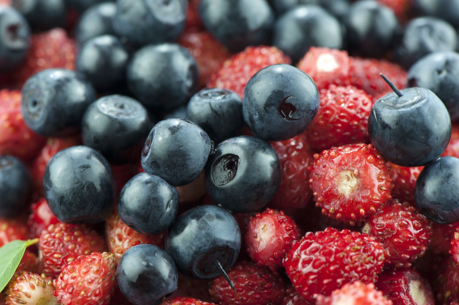 Nikon D700 sample photo. Blueberry, berry, strawberry photography