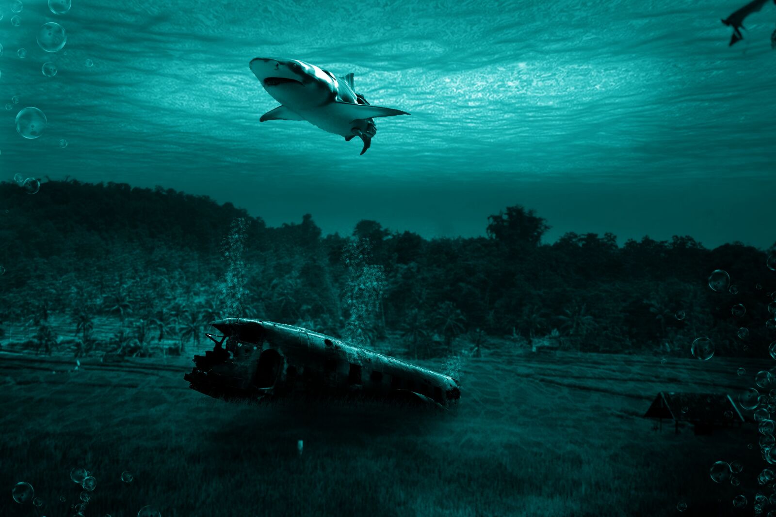 Canon EOS 1000D (EOS Digital Rebel XS / EOS Kiss F) sample photo. Water, underwater, ocean photography