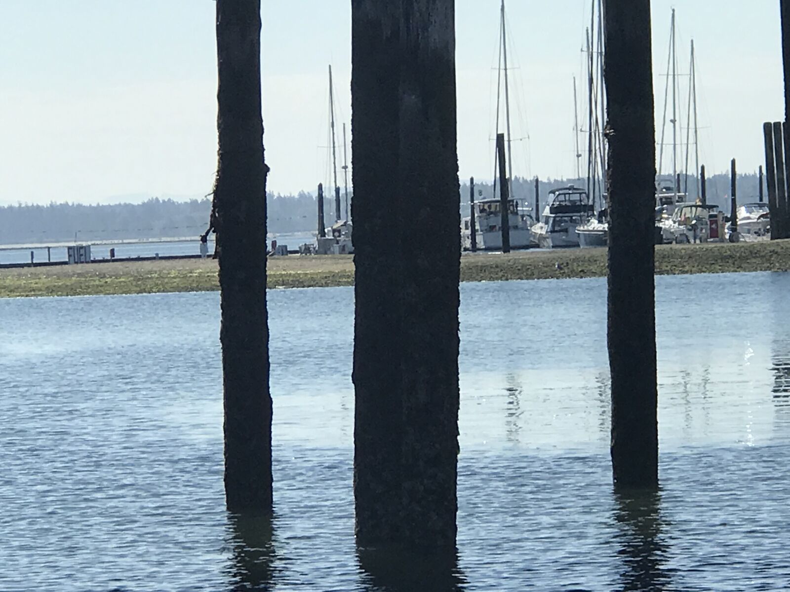 Apple iPhone 7 Plus sample photo. Water, sea, northwest salish photography