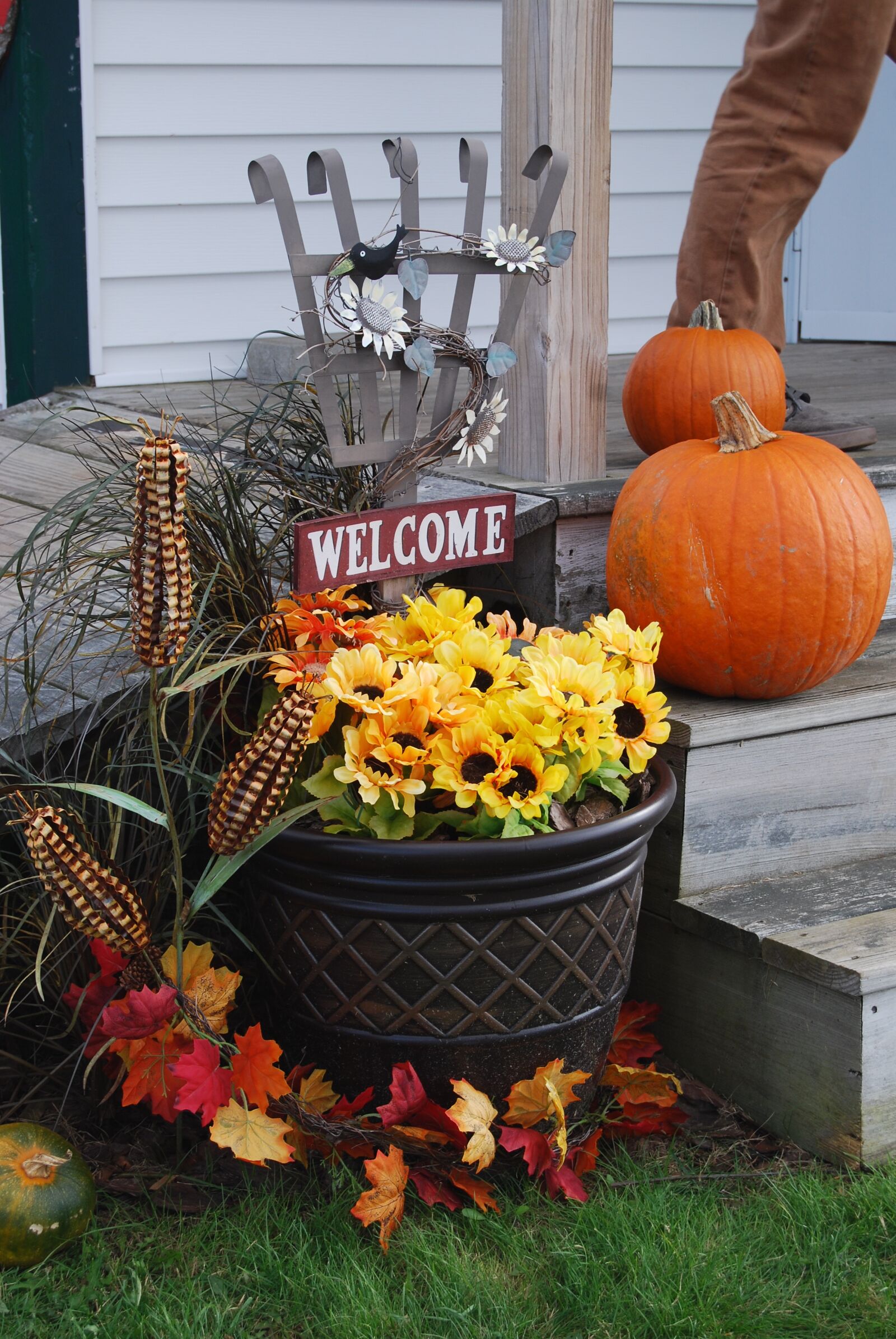 Nikon D40X sample photo. Autumn, flowers, decoration photography