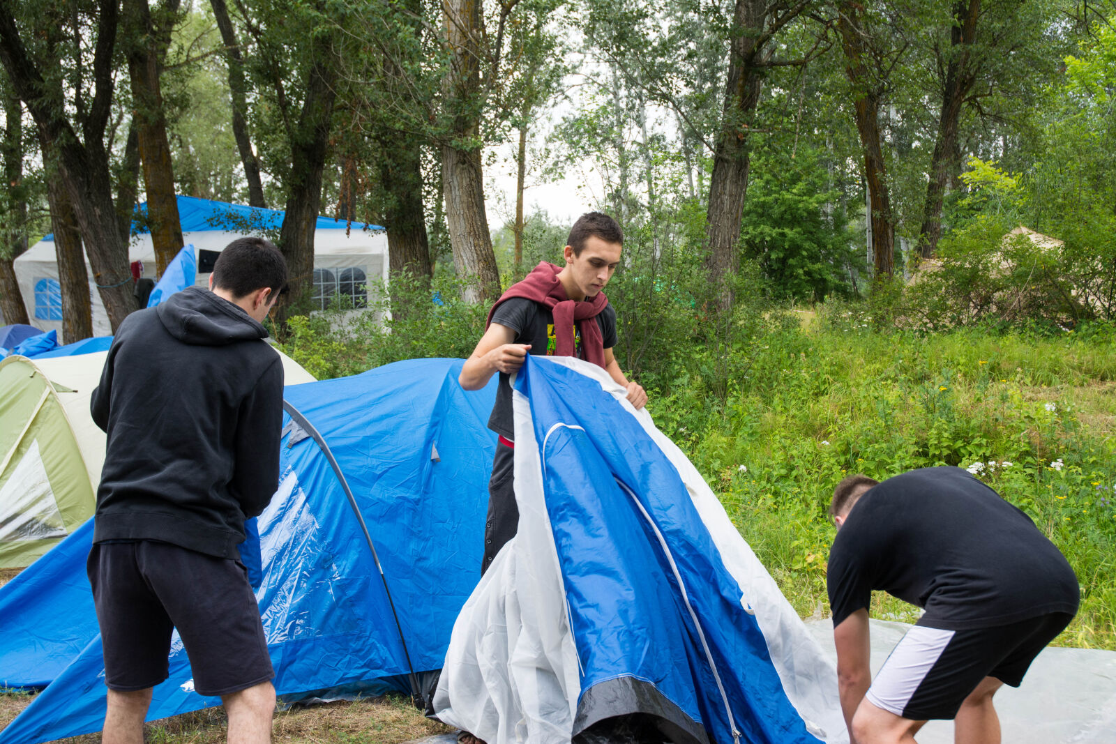 Nikon D7100 sample photo. Camp, dip, forest, pine photography