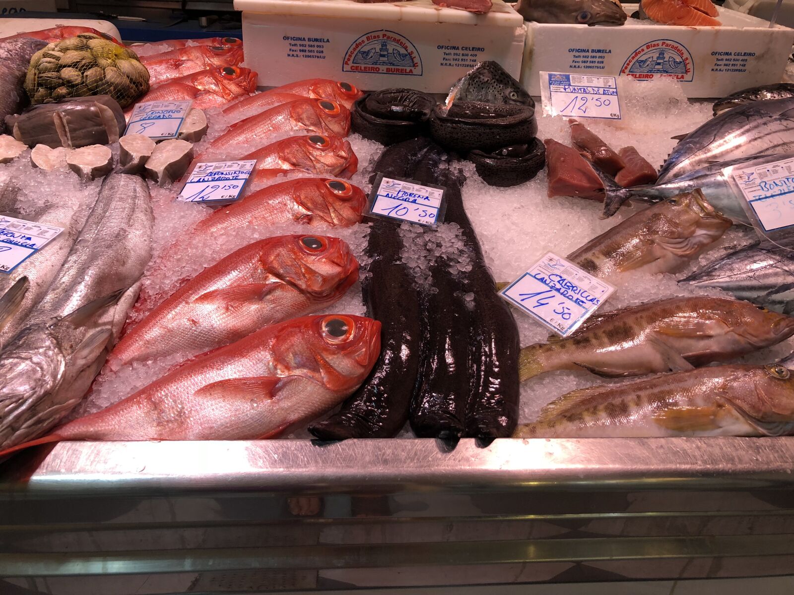 Apple iPhone 8 Plus sample photo. Fish, market, food photography