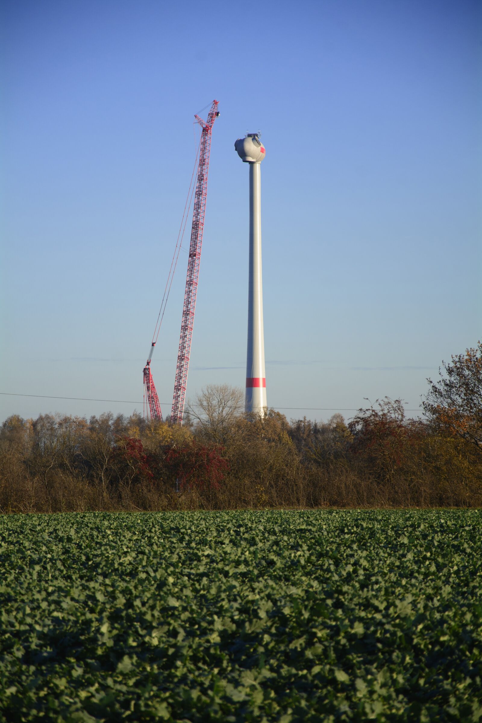 Nikon D7100 sample photo. Pinwheel, site, wind power photography