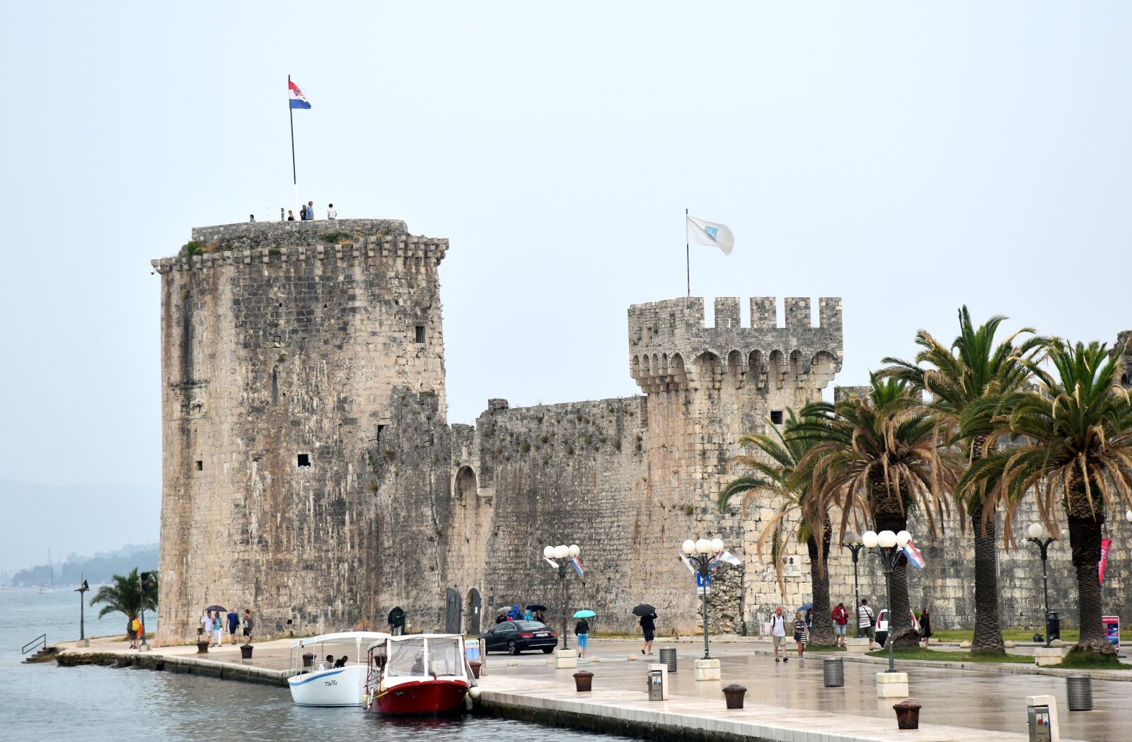 Nikon D5500 sample photo. Castle, palm, medieval photography