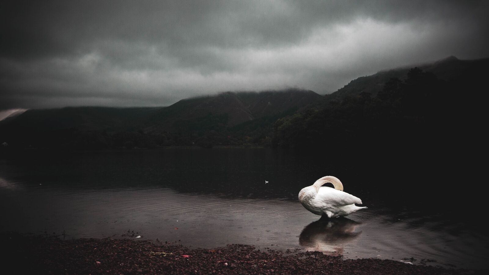 Canon EOS 70D + Canon EF-S 10-22mm F3.5-4.5 USM sample photo. Nature, lake district, lake photography