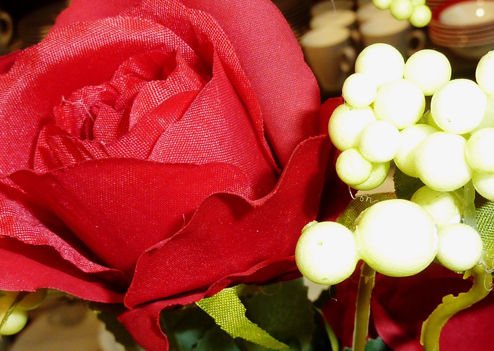 Panasonic DMC-TZ7 sample photo. Rose, red, ste rose photography