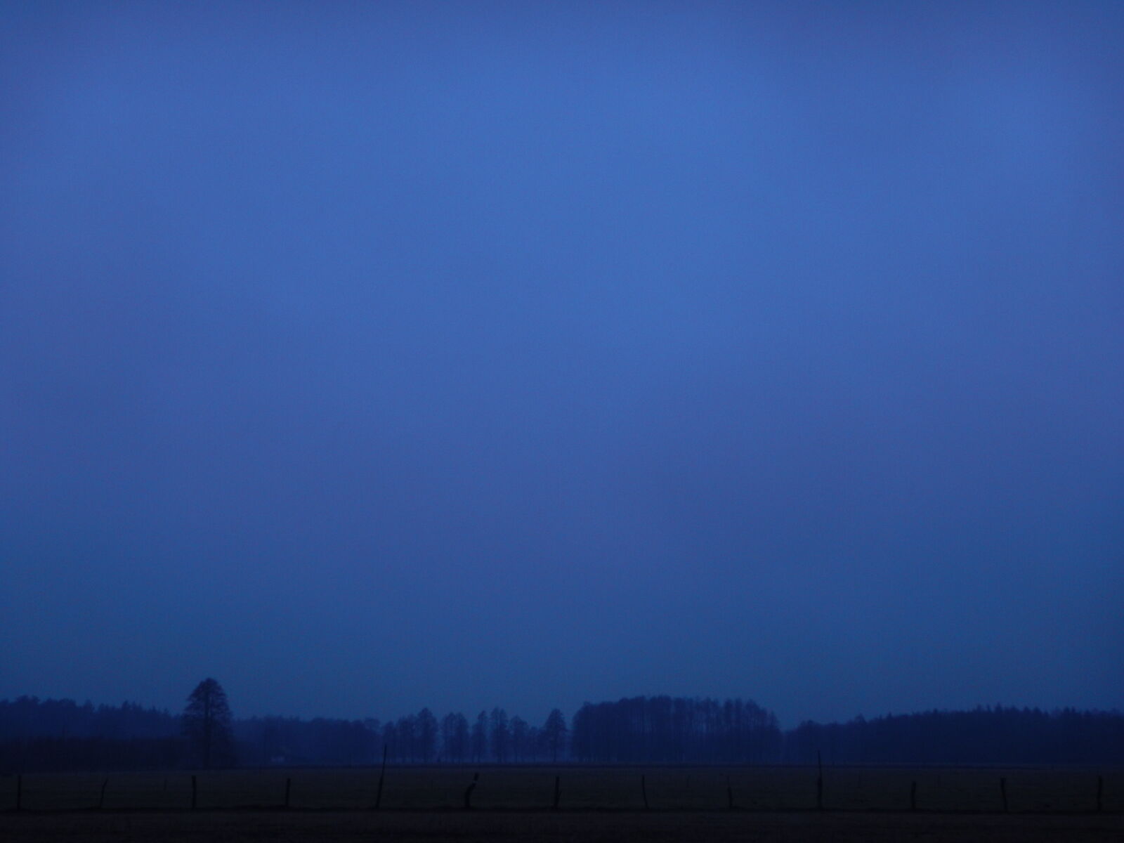 Nikon Coolpix AW130 sample photo. Countryside, fog, forest, sad photography