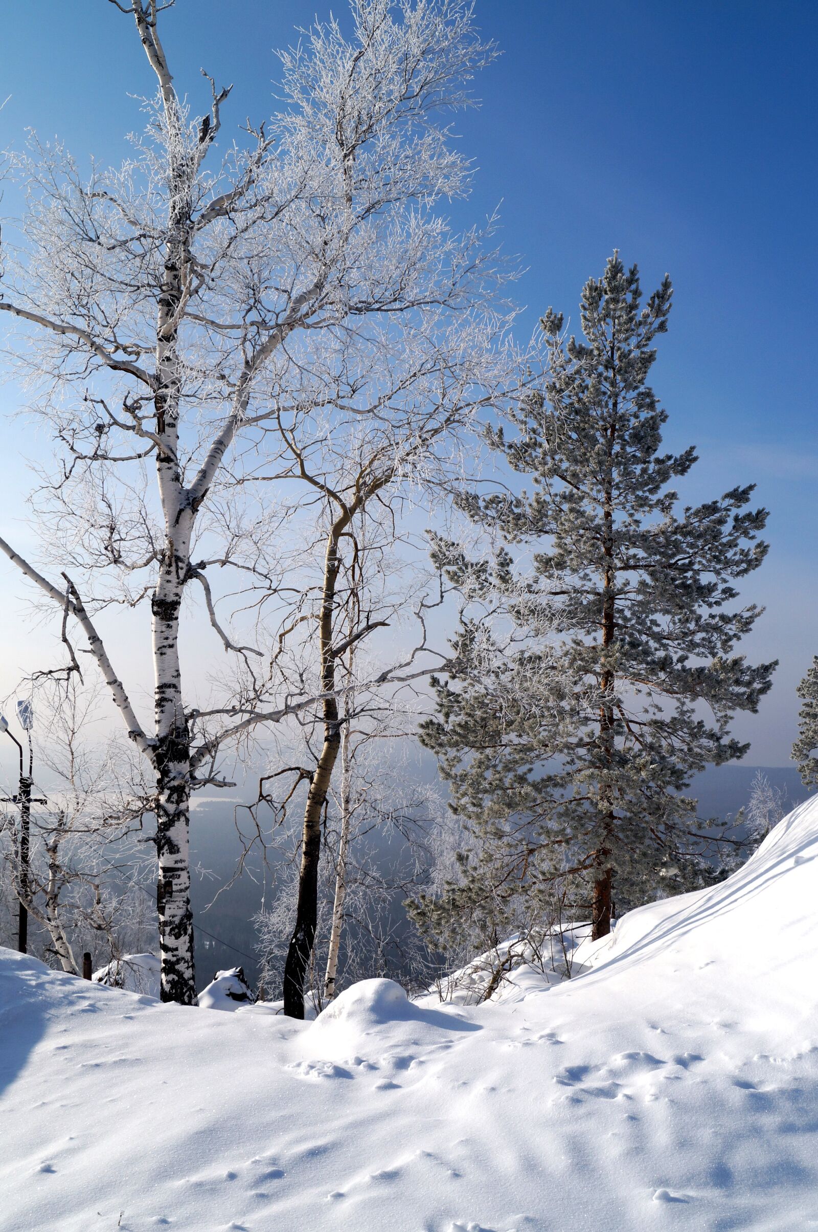 Sony SLT-A57 sample photo. Snow, winter, cold photography