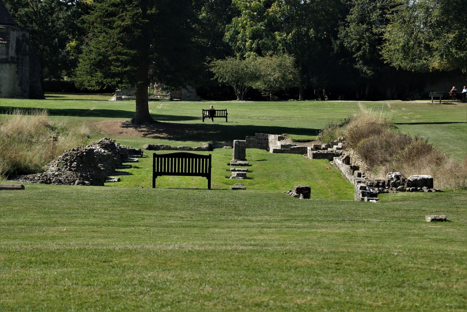Canon EOS 7D Mark II sample photo. Field, benches, nature photography