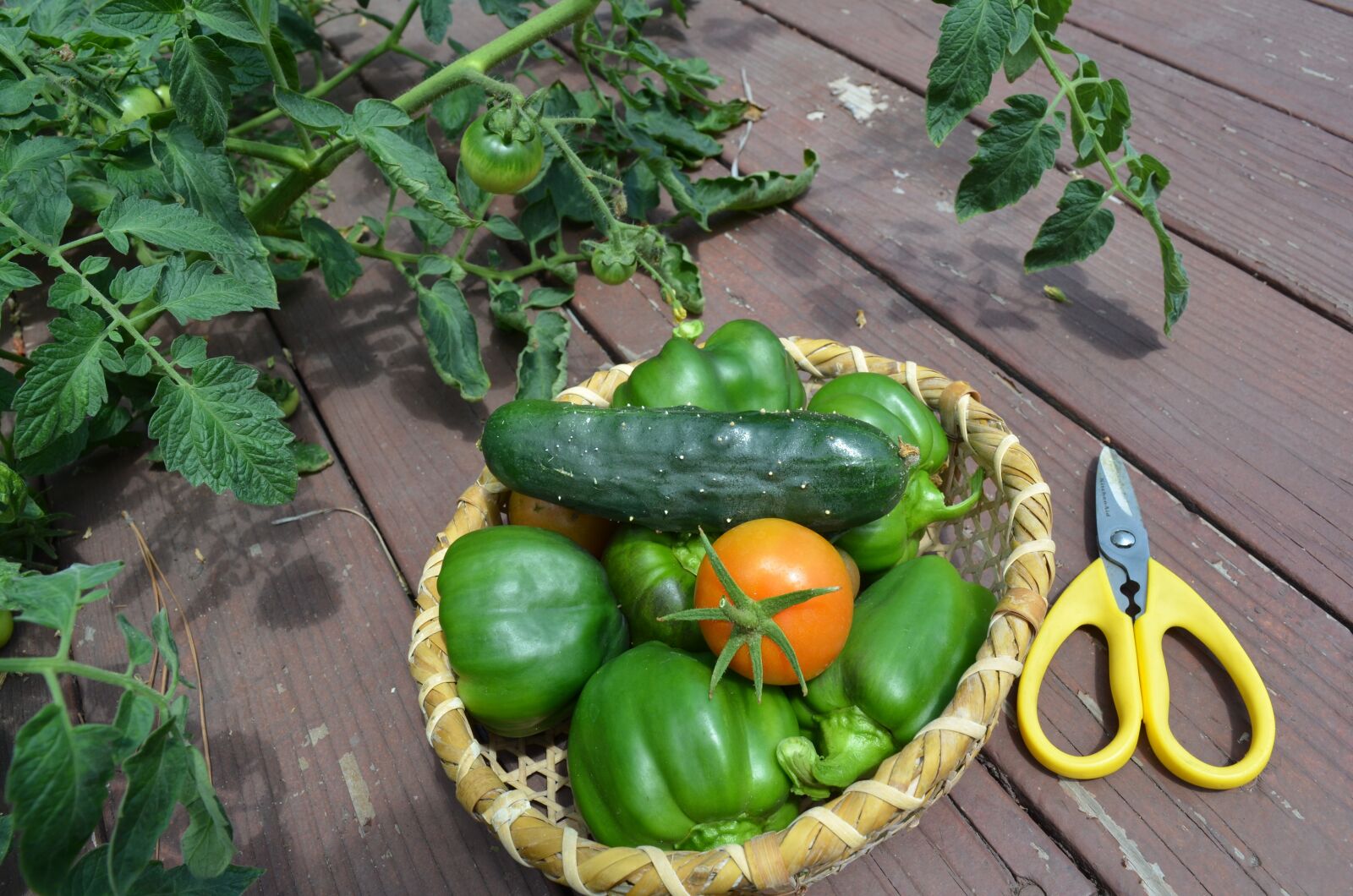 Nikon D7000 sample photo. Harvest, summer, organic photography