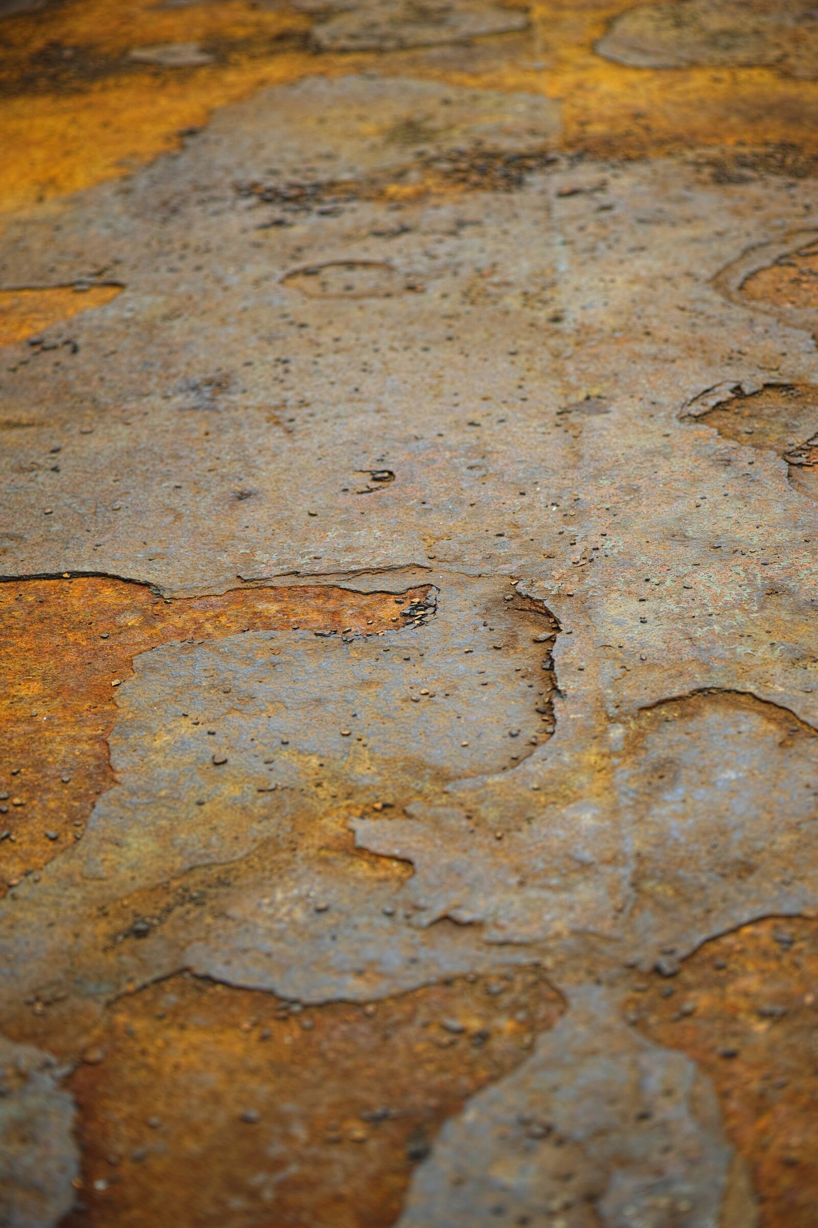 Sigma DP3 Merrill sample photo. Rusty, daniel, texture photography