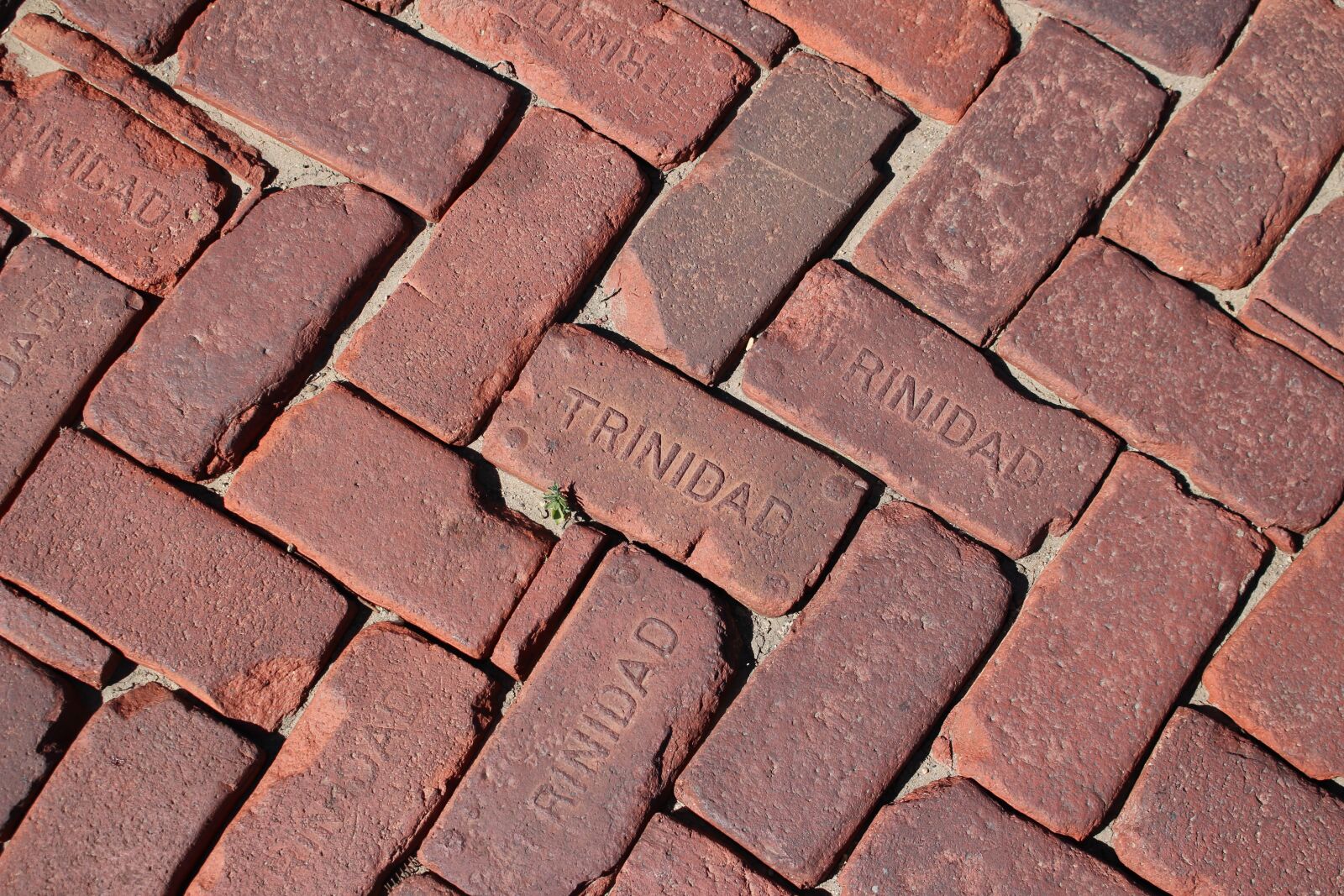 Canon EOS 700D (EOS Rebel T5i / EOS Kiss X7i) sample photo. Bricks, trinidad, colorado photography