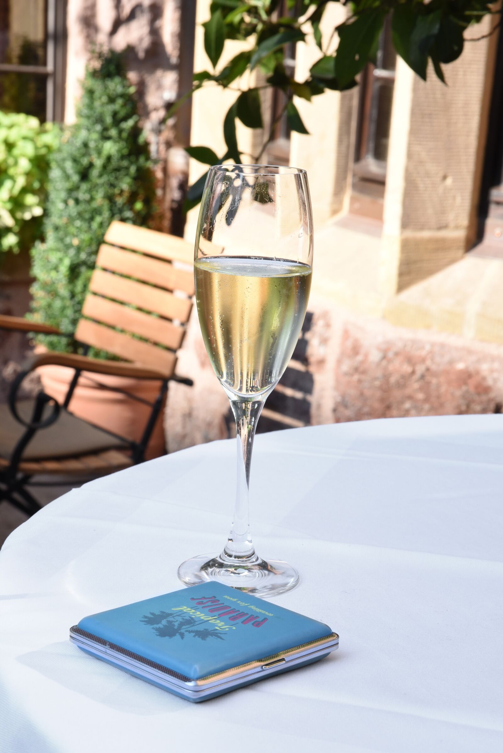 Nikon D750 sample photo. Champagne, glass, case photography