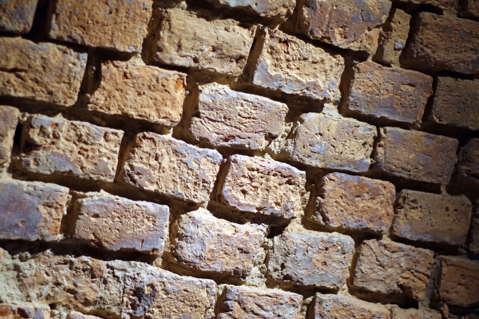 Pentax K-S2 sample photo. Lake dusia, wall, medieval photography