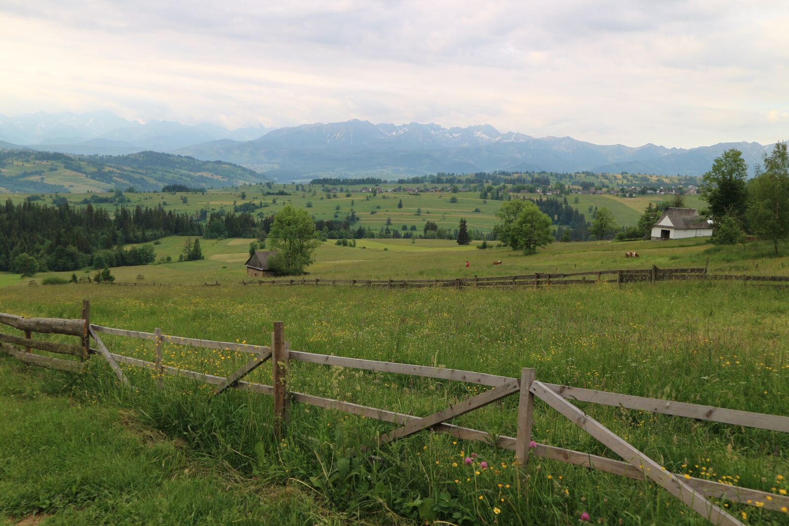 Canon EOS M10 sample photo. Mountains, meadow, poland photography