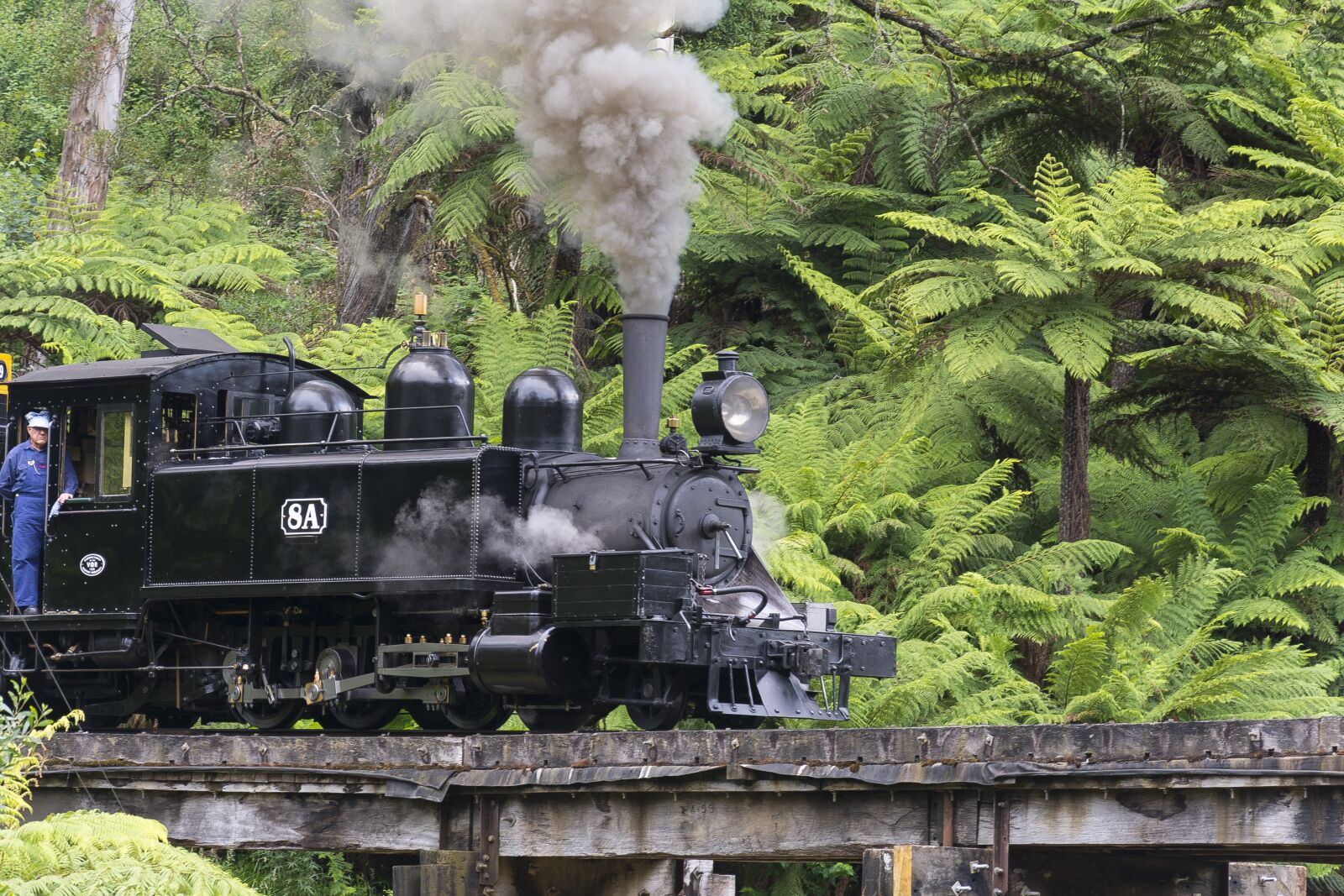 Nikon D7100 sample photo. Train, melbourne, railway photography
