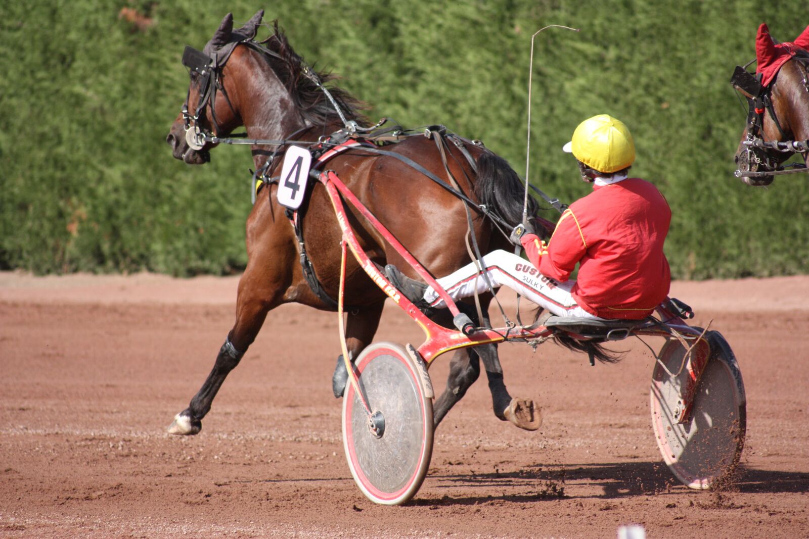 Canon EOS 450D (EOS Rebel XSi / EOS Kiss X2) sample photo. Horse, jockey, race photography
