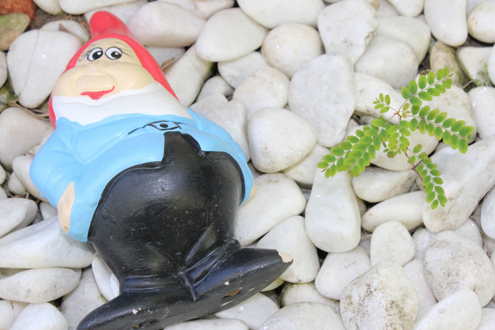 Canon EOS 1200D (EOS Rebel T5 / EOS Kiss X70 / EOS Hi) sample photo. Gnome, garden, fantasy photography