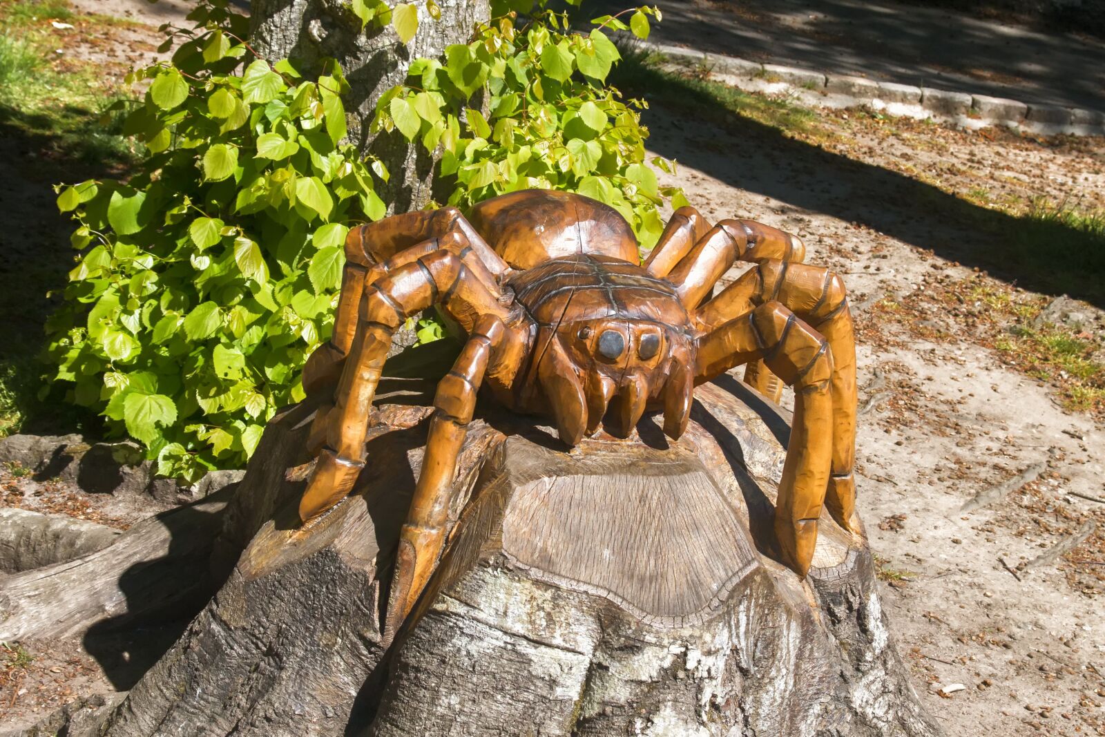 Canon EOS 70D sample photo. Spider, trunk, sculpture photography