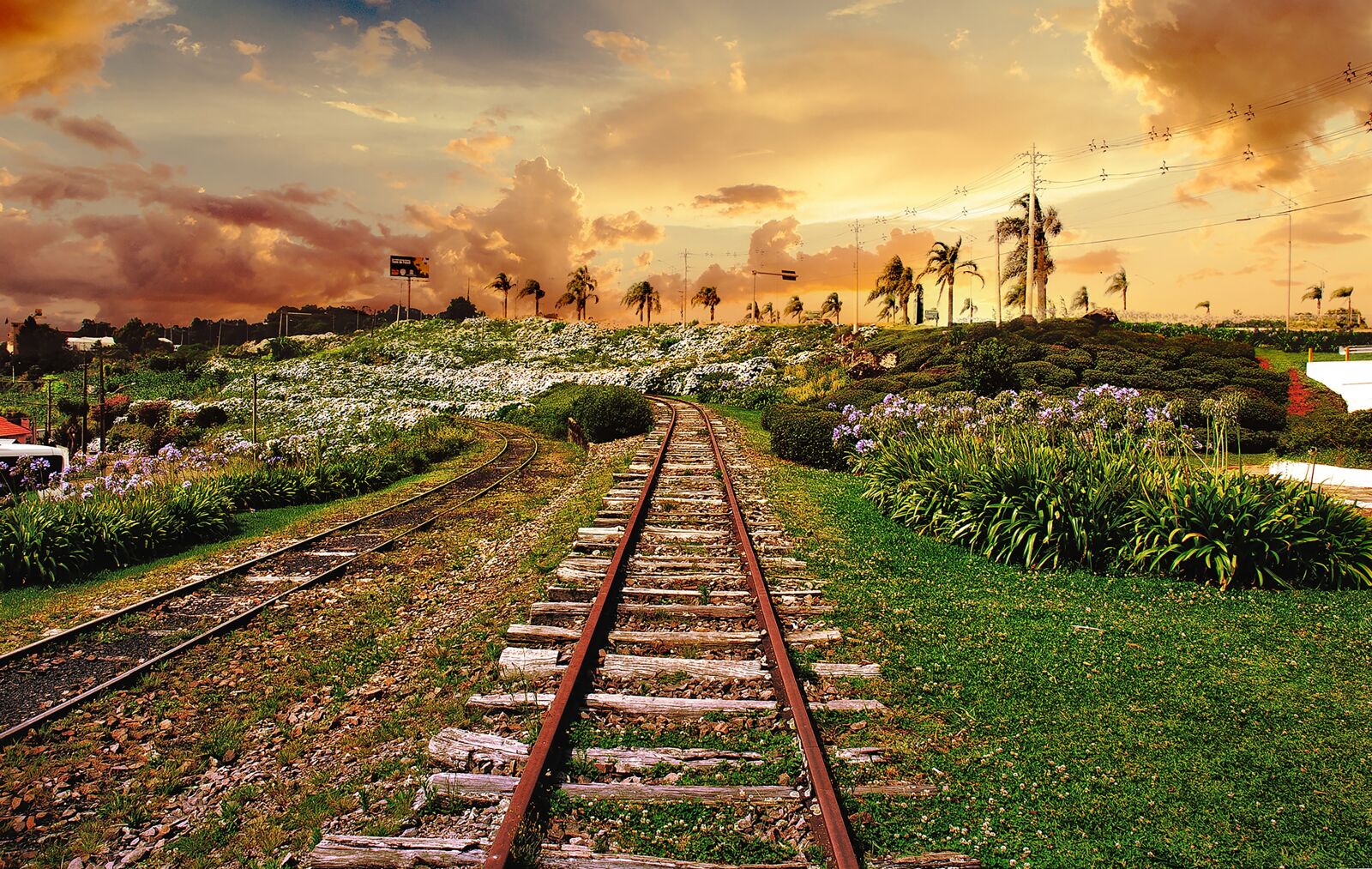 Nikon D60 sample photo. Railroad, train, sky photography
