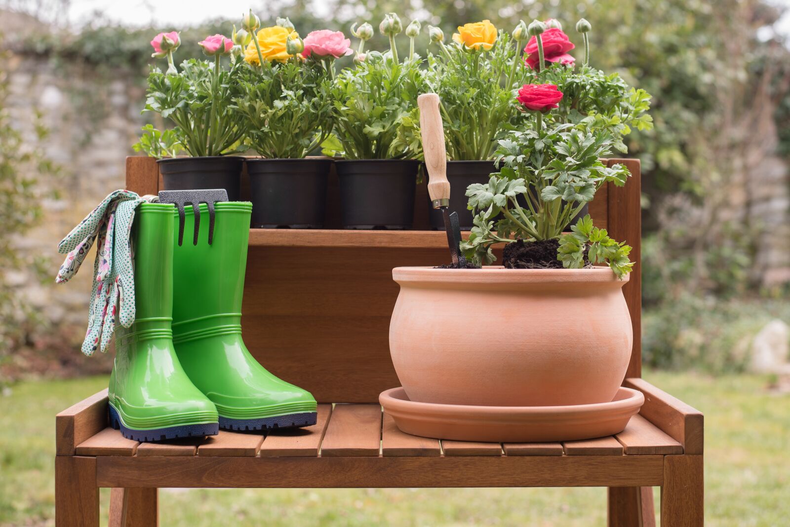 Nikon D750 sample photo. Garden, flower, flower pot photography