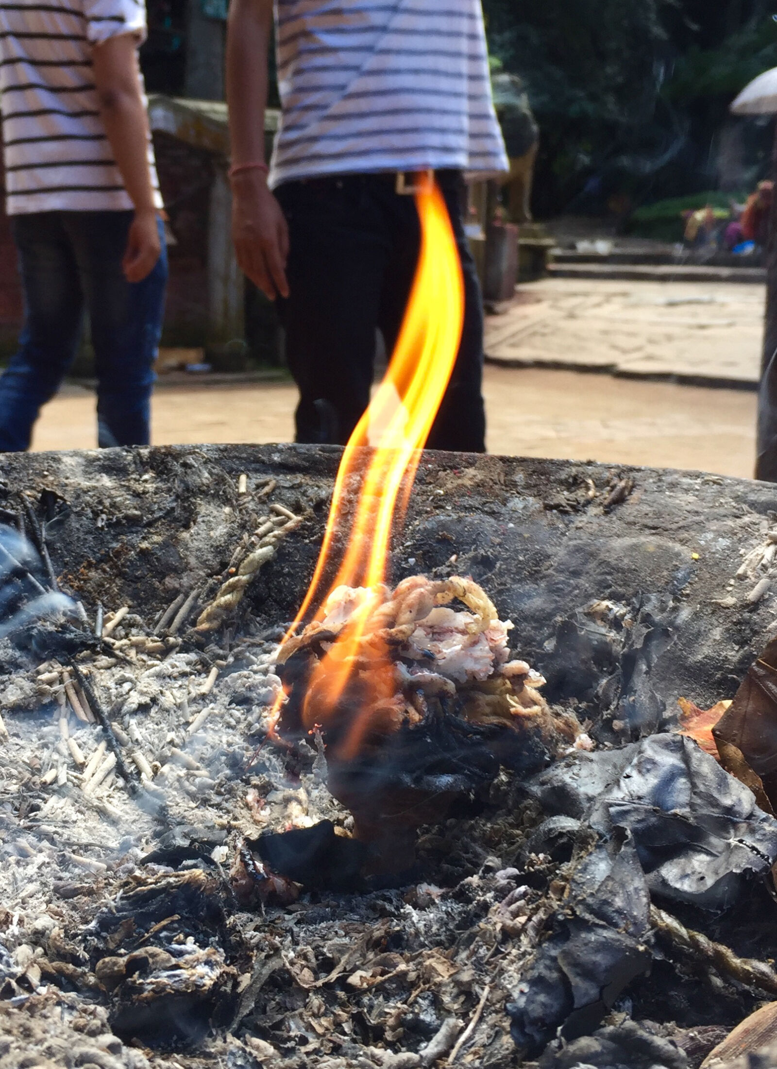 iPhone 6 Plus back camera 4.15mm f/2.2 sample photo. Diyo, iphone, 6, plus photography