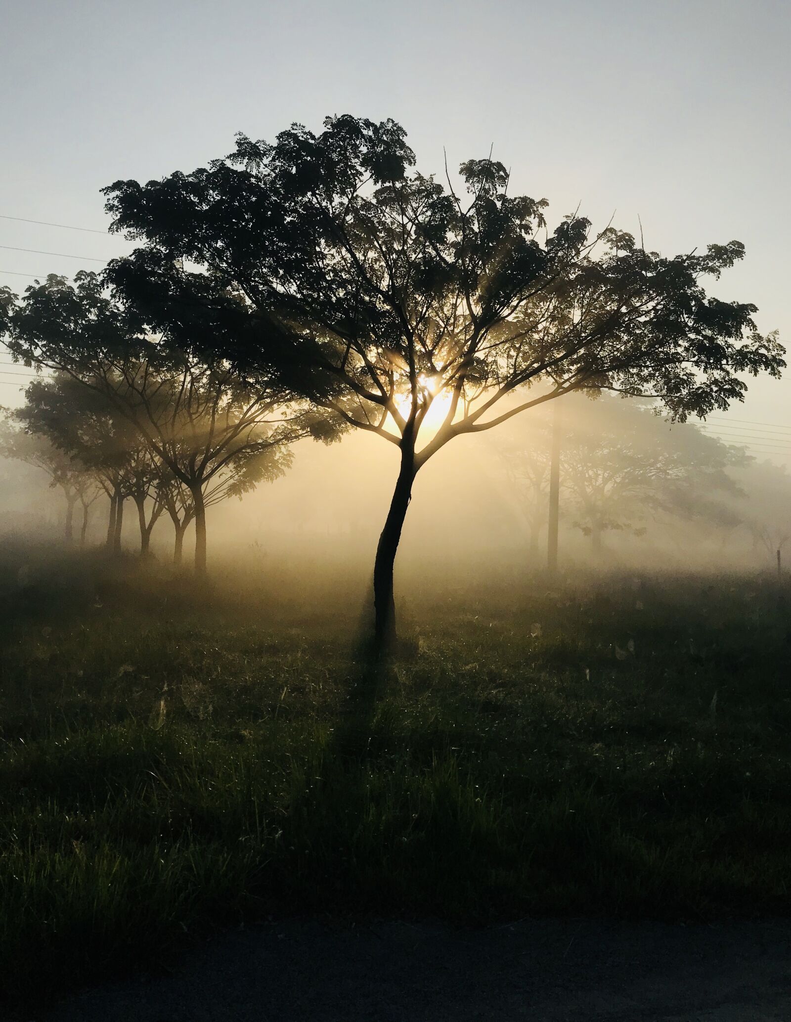 iPhone 7 Plus back dual camera 3.99mm f/1.8 sample photo. Sunrise, early morning, sun photography