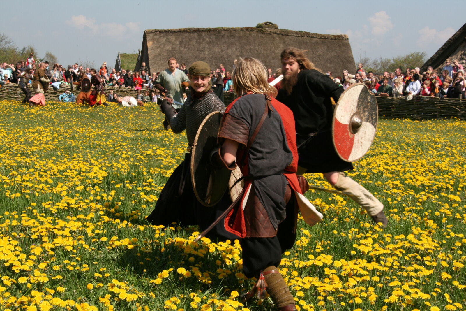 Sigma 18-200mm f/3.5-6.3 DC OS sample photo. Vikings photography