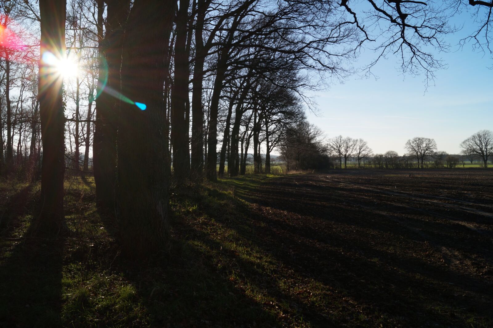 Sony DT 18-55mm F3.5-5.6 SAM II sample photo. Backlighting, landscape, nature photography