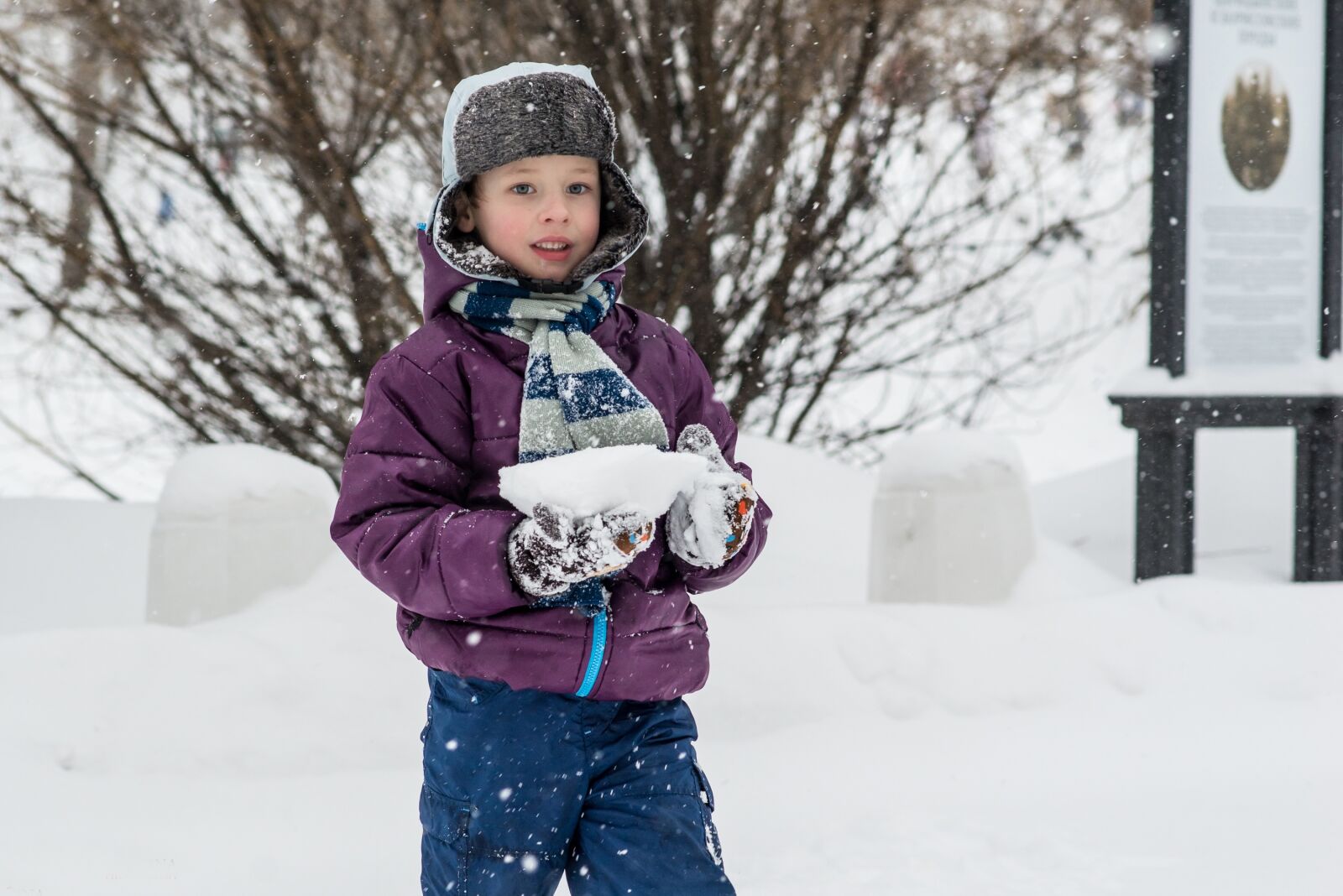 Nikon D800E sample photo. Winter, snow, the snow photography