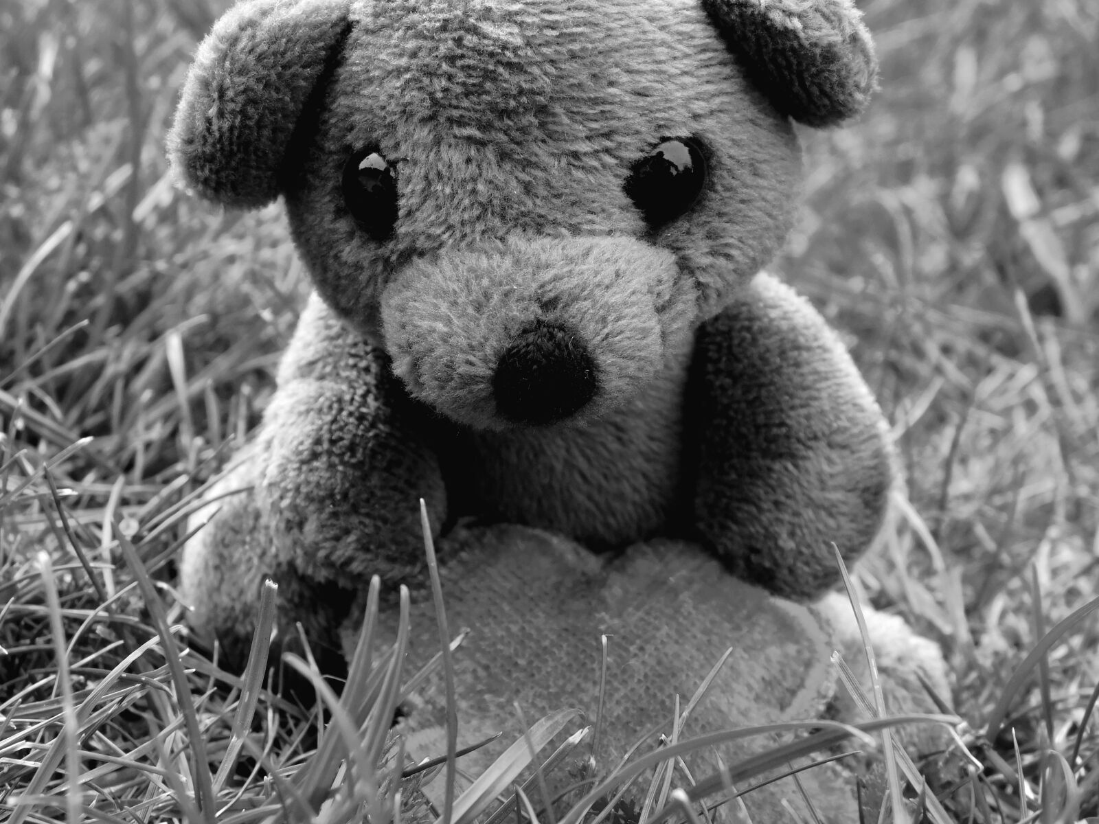 Nikon Coolpix L840 sample photo. Teddy bear, teddy, mascot photography