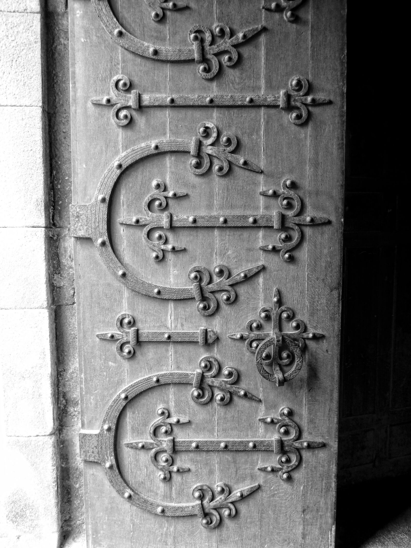 Panasonic Lumix DMC-ZS7 (Lumix DMC-TZ10) sample photo. Door, metal work, decoration photography